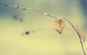 戀愛(ài)攻心超控術(shù)pdf下載【在線閱讀】戀愛(ài)攻心術(shù)操控術(shù)下載