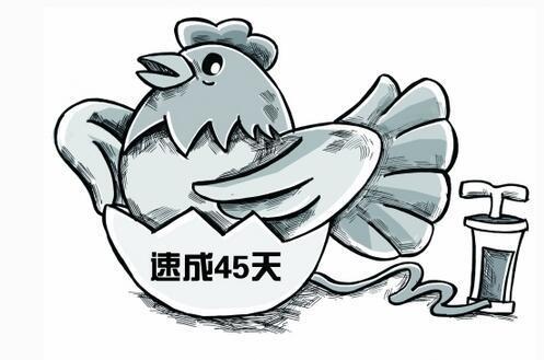 你還在追求速成嗎？