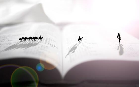 走出去才有機(jī)會(huì)